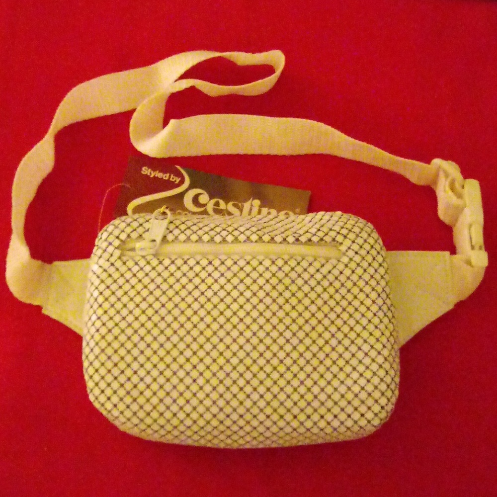 White Mesh rectangular Bum bag